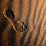 A cosa serve e come scegliere il plantare ortopedico