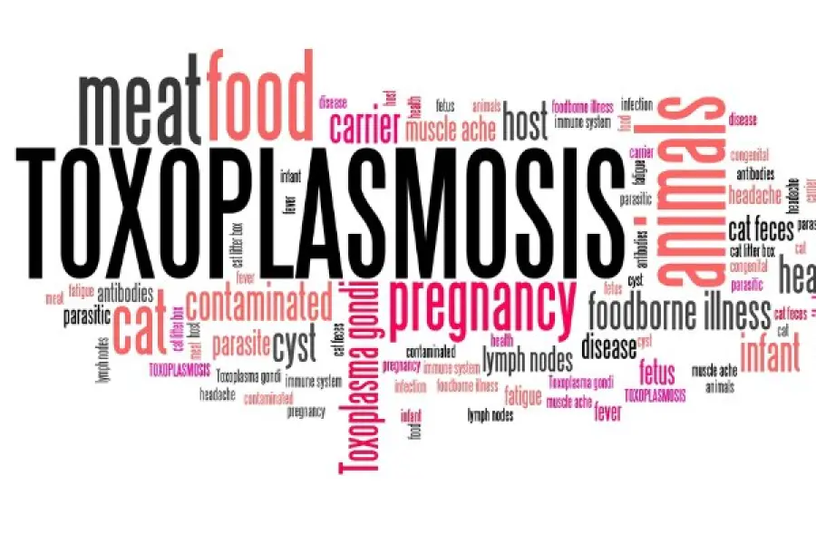 La Toxoplasmosi