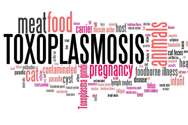 La Toxoplasmosi