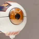 Patologie oculari e tecnologie laser: verso percorsi di cura sempre più personalizzati